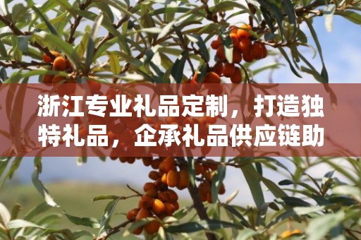 浙江专业礼品定制，打造独特礼品，企承礼品供应链助力商务之选