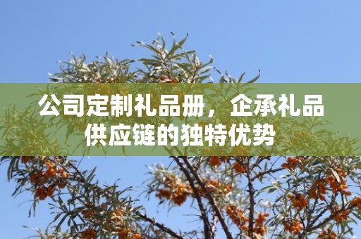 公司定制礼品册，企承礼品供应链的独特优势
