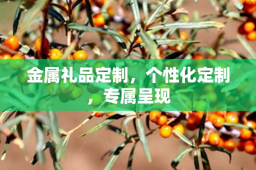 金属礼品定制，个性化定制，专属呈现
